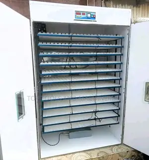 Ac/Dc Reliable Automatic Incubator 3168 Eggs