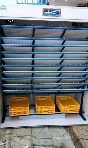 Automatic Ac/Dc Incubator 2464 Eggs Incubator