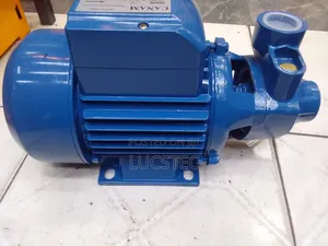 CANAM QB80 Water Pump 0.75kw 1.0hp