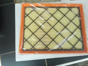 Ford Everest Air Filter