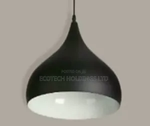 New Arrival Black Hanging Lights.