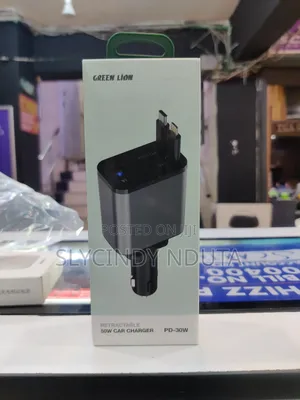Green Lion 4 in 1 Car Charger