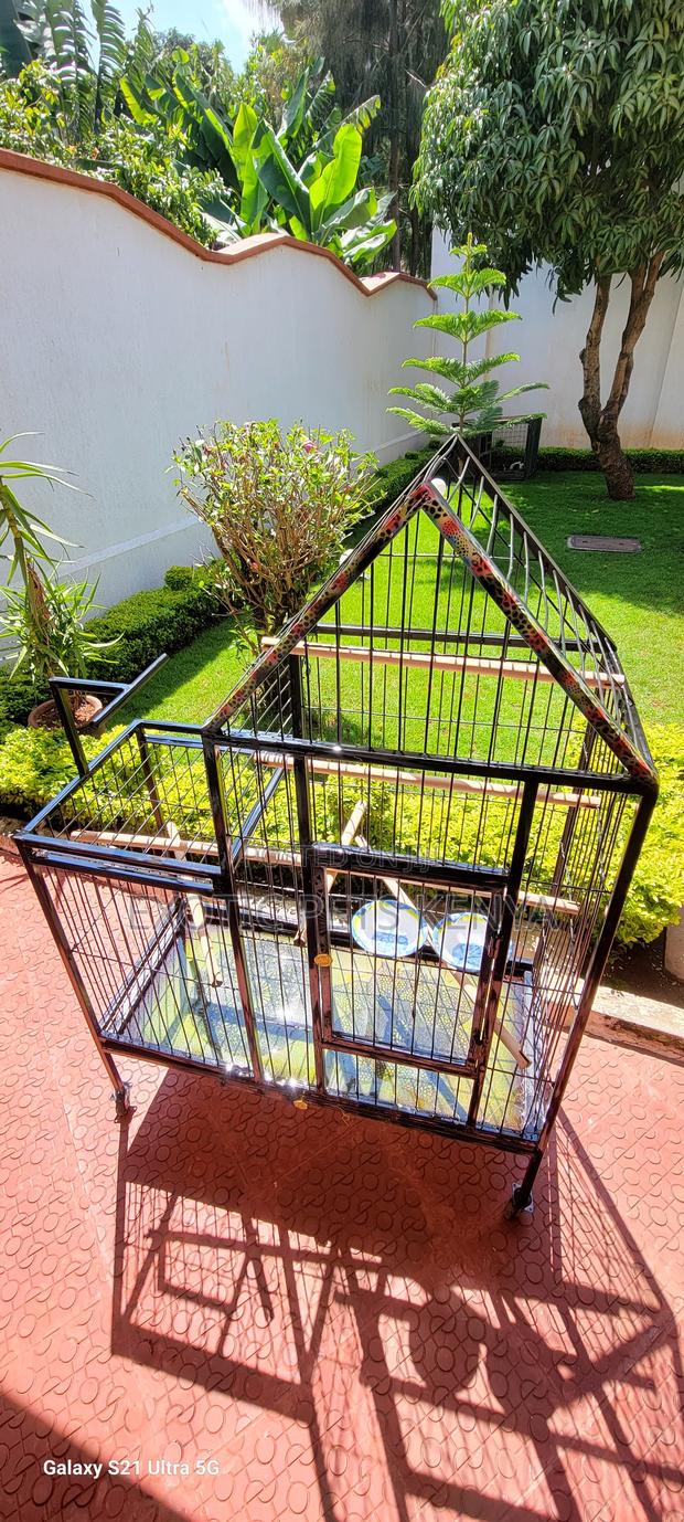 Fully Loaded Parrot Cage - main view