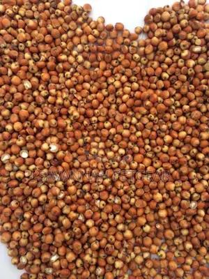 Red Sorghum Seeds for Sale - Per Kg