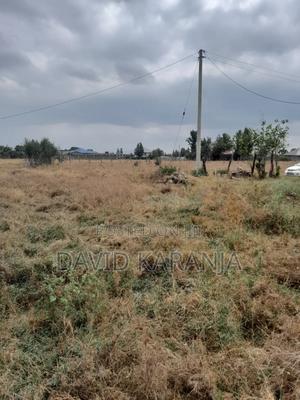 Joska Sunshine 50x100 Plot - thumbnail 2