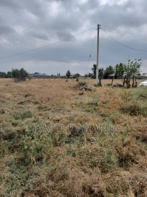 Joska Sunshine 50x100 Plot - main view