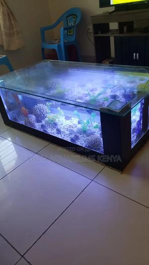 Large Coffee Table Aquarium Complete Set Up - thumbnail 2