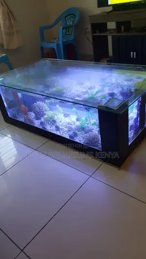 Large Coffee Table Aquarium Complete Set Up
