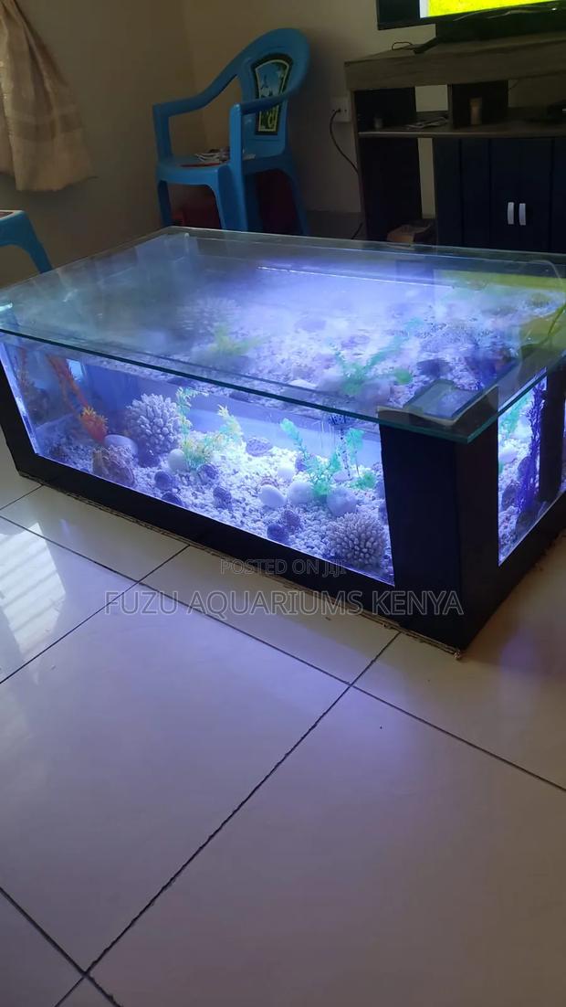 Large Coffee Table Aquarium Complete Set Up - main view