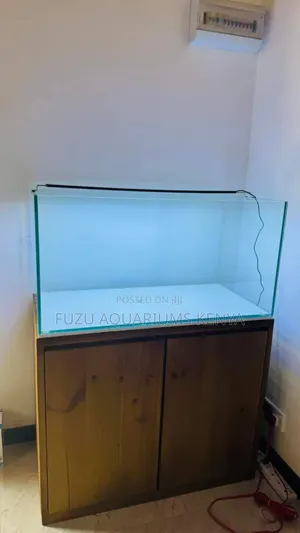 Super Rimless Aquarium