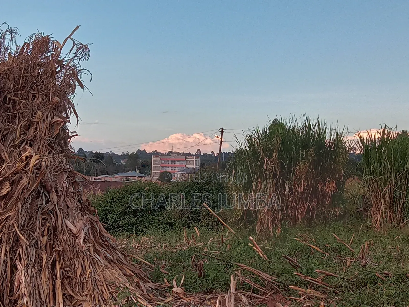 Eldoret Plots
