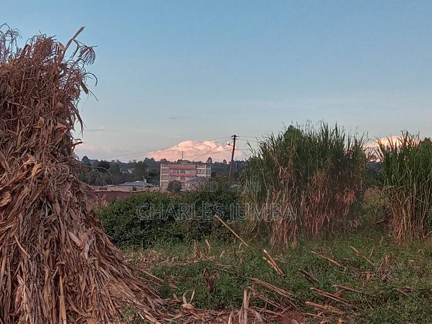 Eldoret Plots - main view