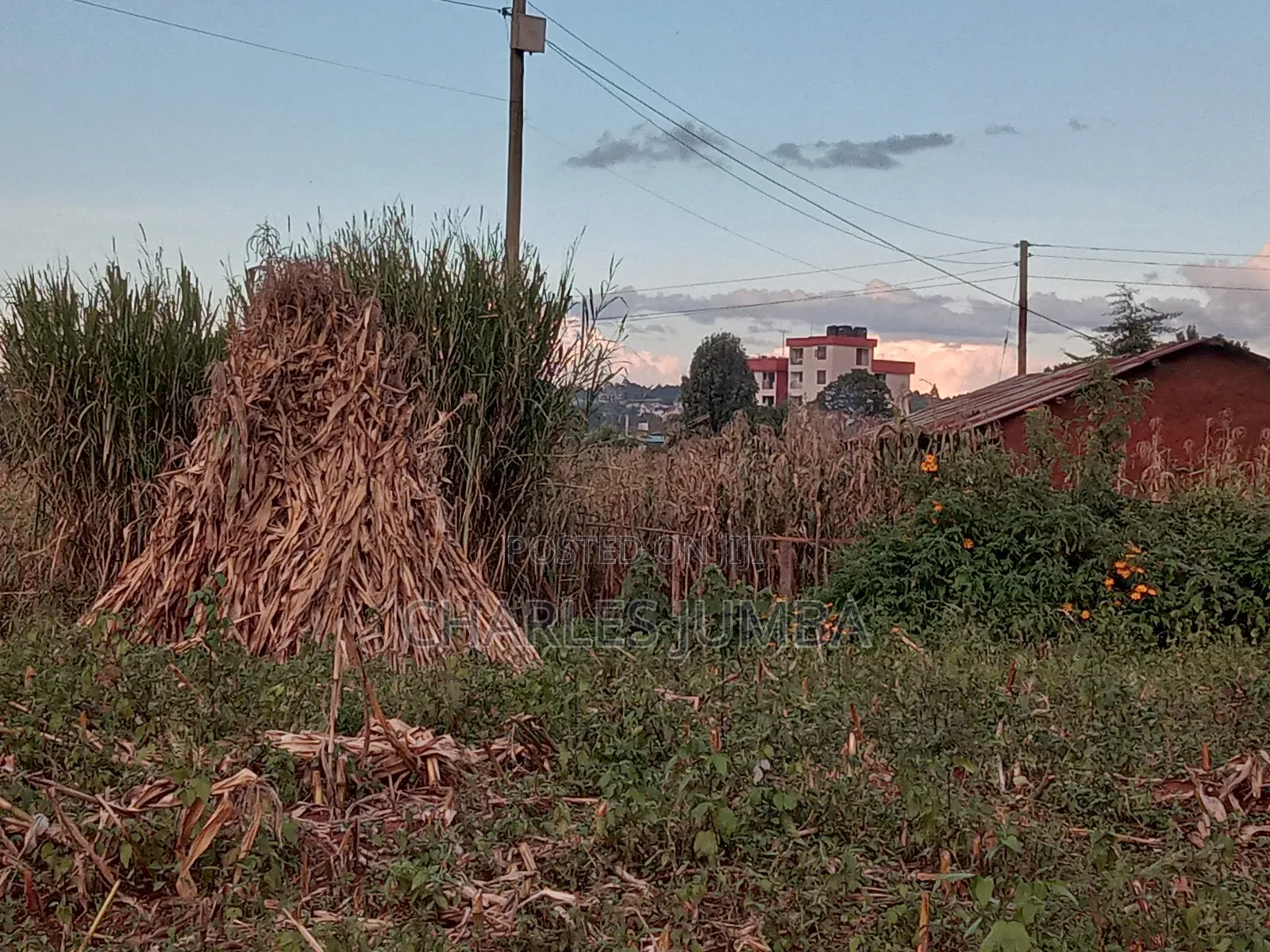Eldoret Plots