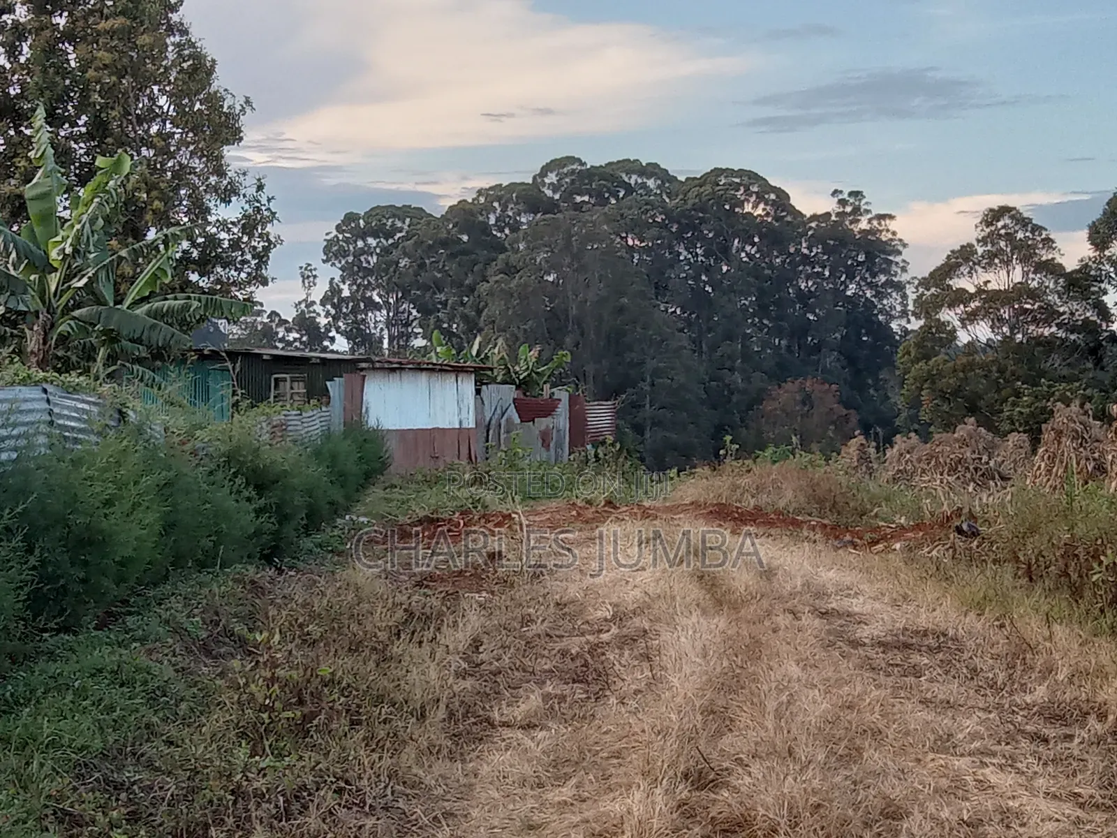 Eldoret Plots