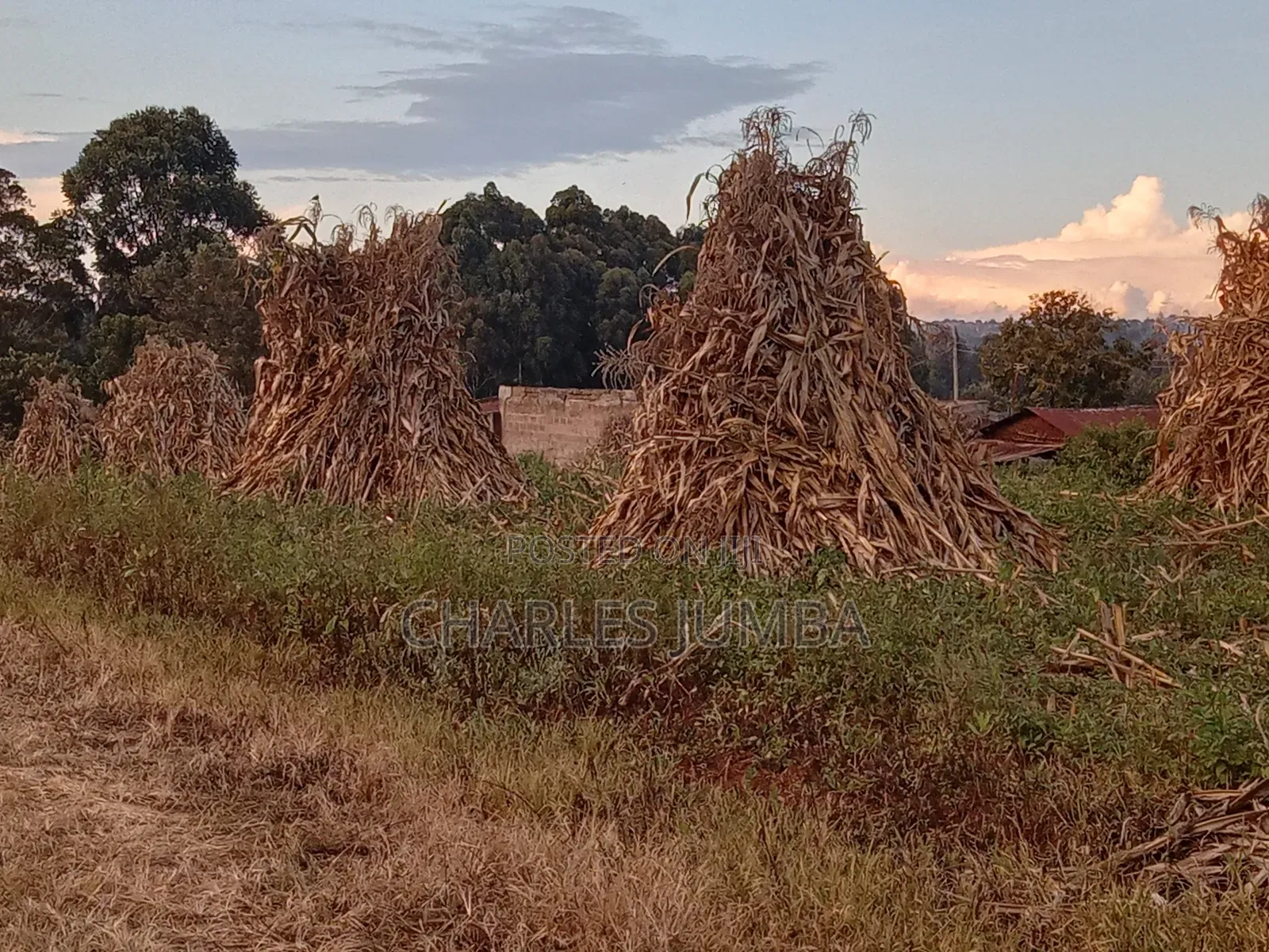 Eldoret Plots
