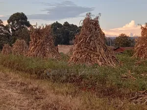 Eldoret Plots