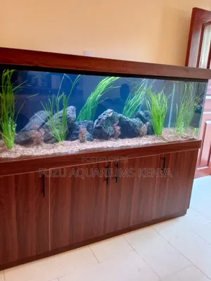 Aquarium Repair Services