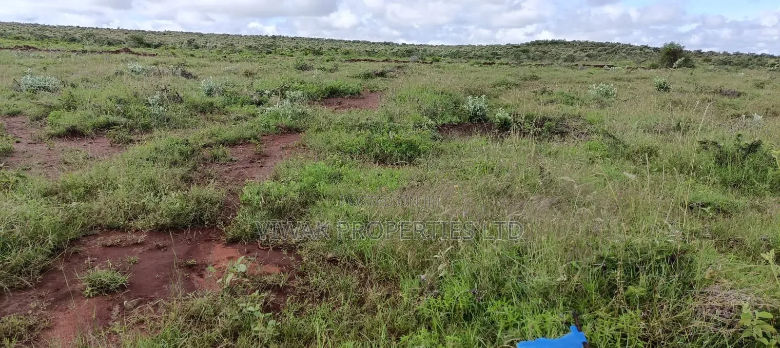 Land for Sale in NachuMikuyuni 50by100 at in Nachu Land & Plots for Sale, Viwak Properties