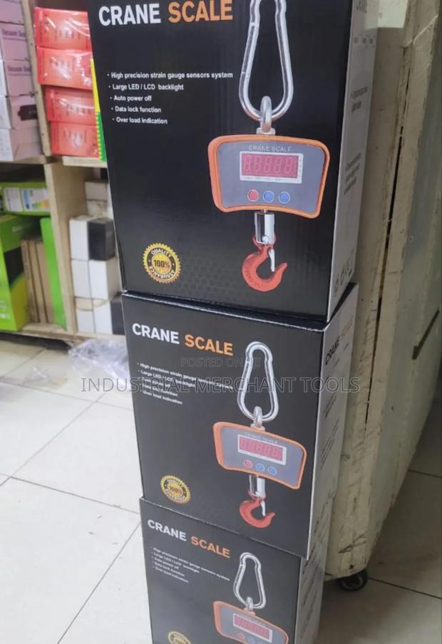 Suitable 500kgs Crane Scale - main view