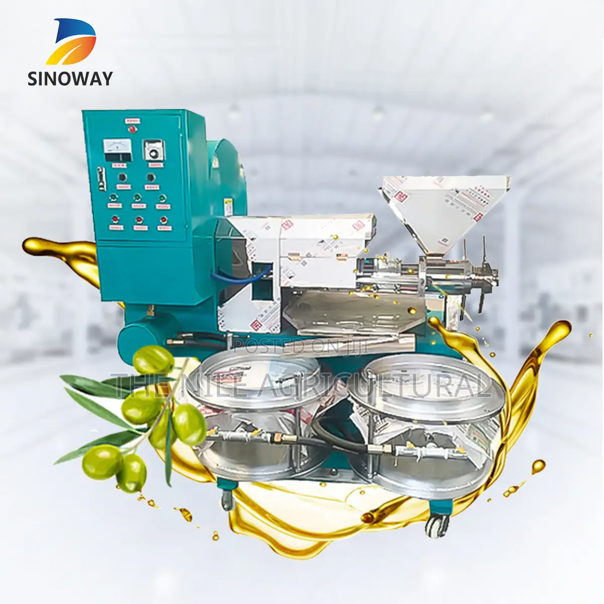 Cold Press Oil Machine Olive