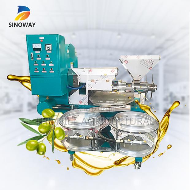 Cold Press Oil Machine Olive