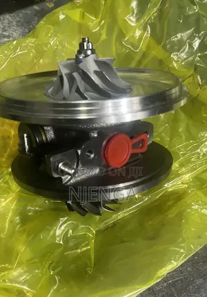 Catrige/Core 1kd Engine Both for Prado,Pickup N Hiace