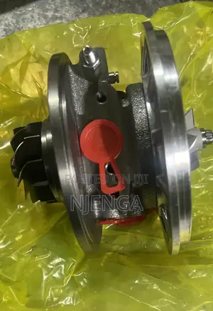 Catrige/Core 1kd Engine Both for Prado,Pickup N Hiace