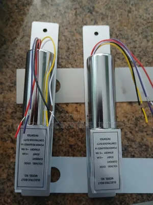 Two Line Standard Electric Bolt Lock CA-E20
