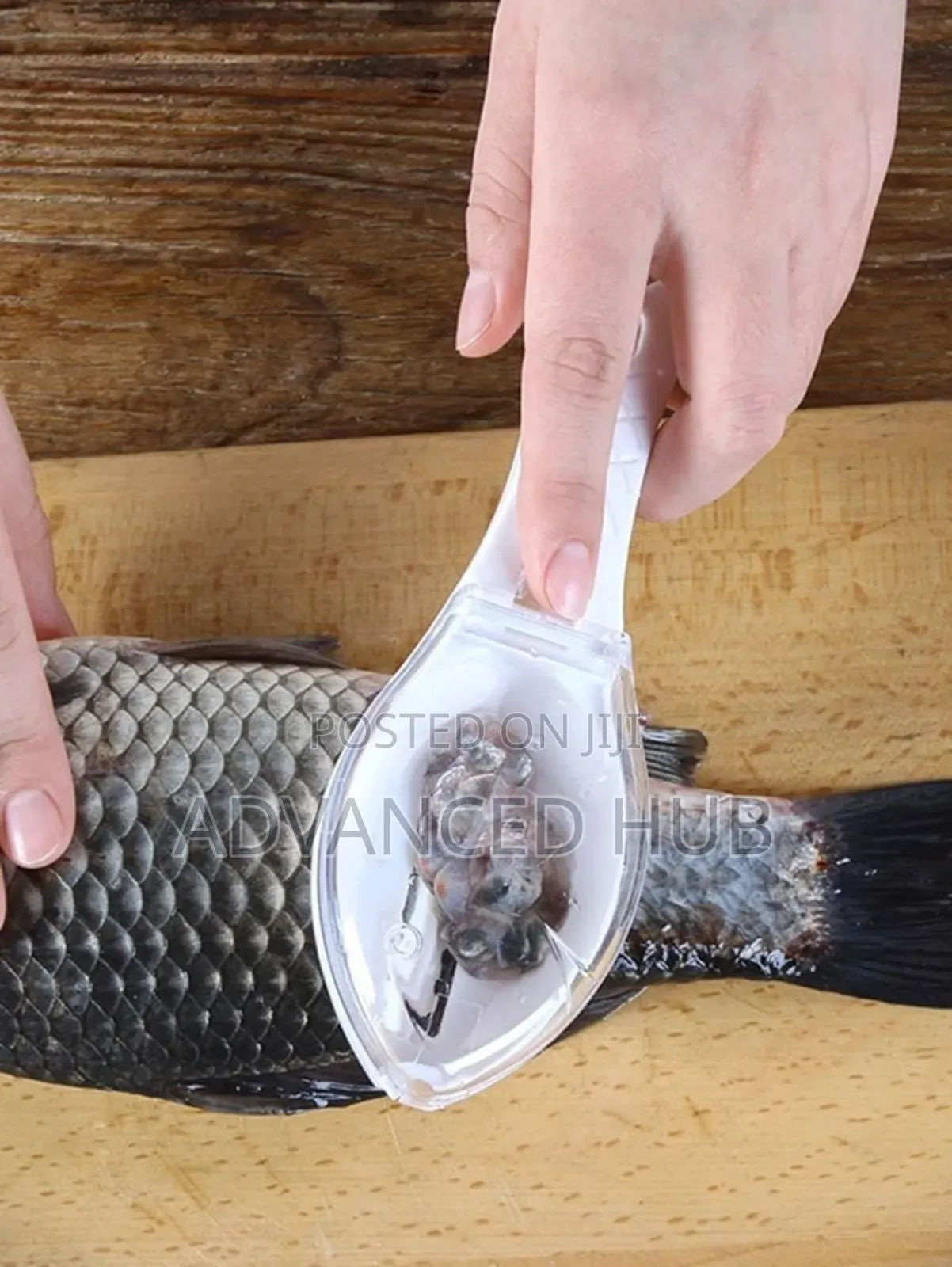 Fish Scale Scrapper