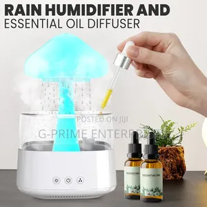 Bluetooth Humidifier
