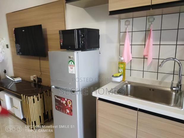 Furnished Studio - thumbnail 4