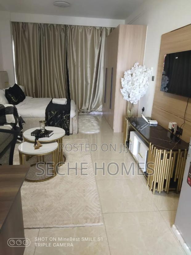 Furnished Studio - thumbnail 5