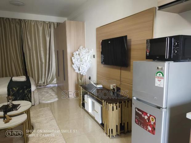 Furnished Studio - thumbnail 6