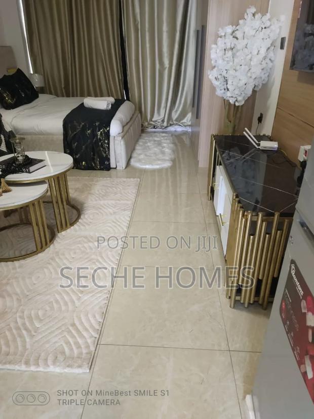 Furnished Studio - thumbnail 7