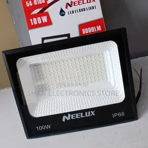 High Volt Outdoor Ip66 Neelux Led Floodlight 100w