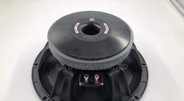 BM 12 AZ 16 Naked Speaker 12 Inches