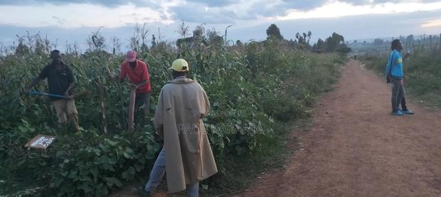 Plots for Sale - thumbnail 3