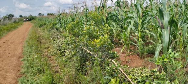 Plots for Sale - thumbnail 5