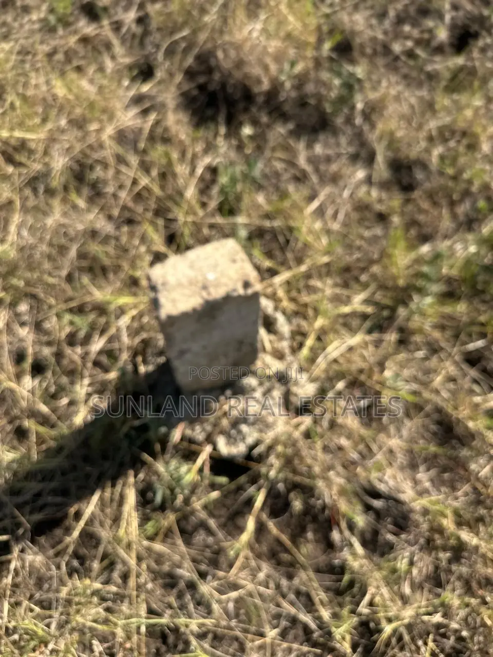 Sagana Prime Plots for Sale in Kerugoya Land & Plots for Sale