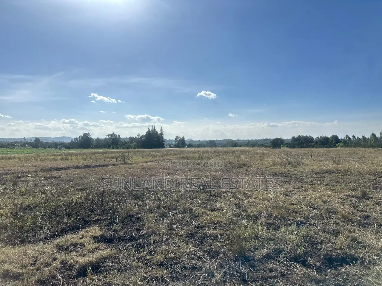 Sagana Prime Plots for Sale in Kerugoya Land & Plots for Sale, Sunland Real Estates Limited