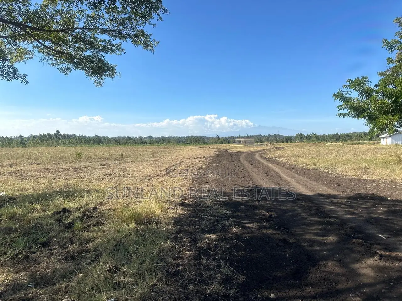 Sagana Prime Plots for Sale in Kerugoya Land & Plots for Sale, Sunland Real Estates Limited