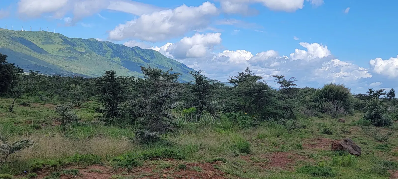 7 Acres Land for Sale in Ngong