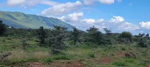 7 Acres Land for Sale in Ngong