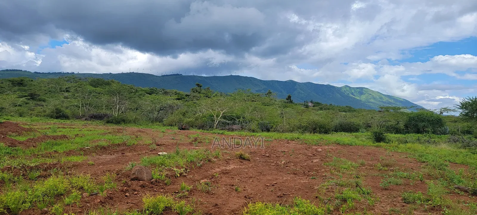 7 Acres Land for Sale in Ngong