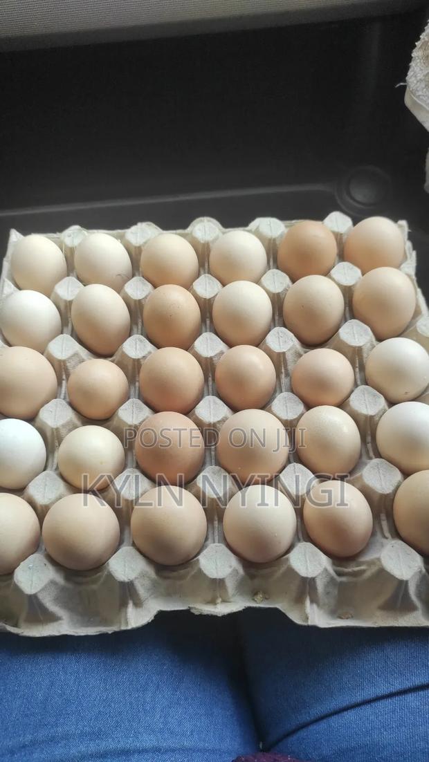 Fertilized Kienyeji Eggs - thumbnail 3