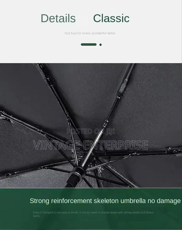 Travel Rain Sun Umbrella Windproof Muilt-Color Auto