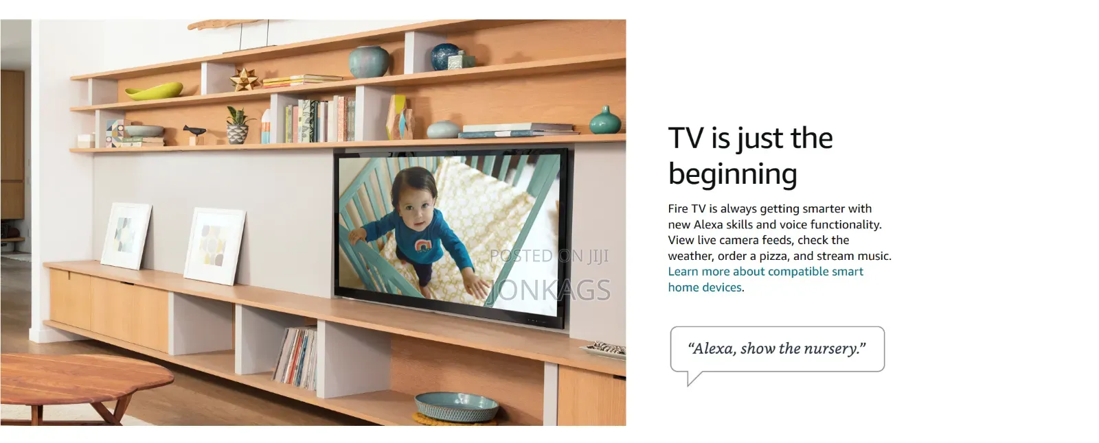 Amazon Fire Stick