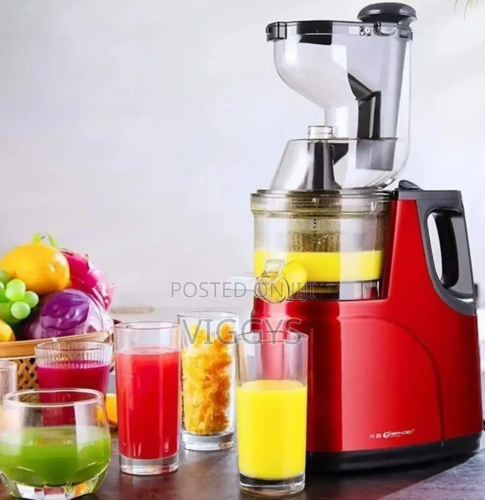 Slow Juicer