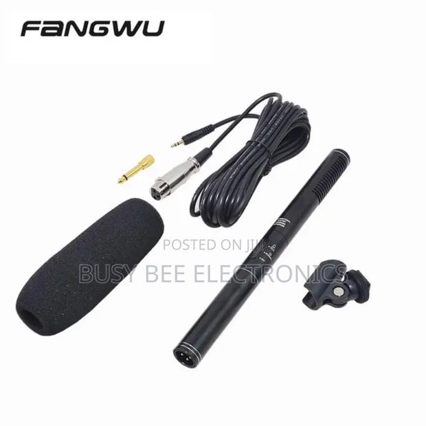 Panasonic Boom Condenser Microphone