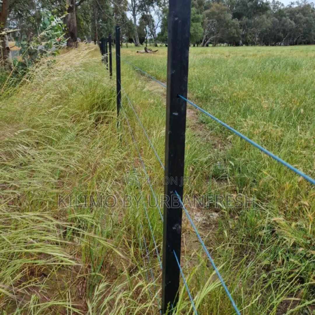 Plastic Poles (5ft Height:4.5-5"Dia:Round/Sqare) Moq 10pcs